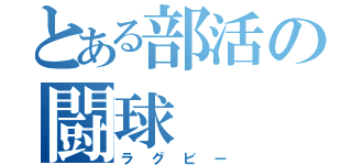 とある部活の闘球（ラグビー）