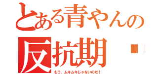 とある青やんの反抗期‼︎（もう、ムキムキじゃないのだ！）