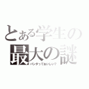 とある学生の最大の謎（パンダっておいしい？）