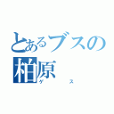 とあるブスの柏原（ゲス）