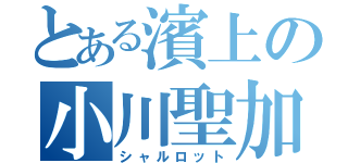 とある濱上の小川聖加（シャルロット）