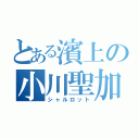 とある濱上の小川聖加（シャルロット）