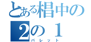 とある椙中の２の１（パレット）