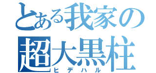 とある我家の超大黒柱（ヒデハル）