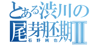 とある渋川の尾芽胚期Ⅱ（石野純也）