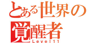 とある世界の覚醒者（Ｌｅｖｅｌ１１）