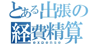 とある出張の経費精算（ｅｘｐｅｎｓｅ）