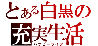 とある白黒の充実生活（ハッピーライフ）