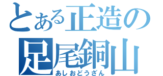 とある正造の足尾銅山（あしおどうざん）