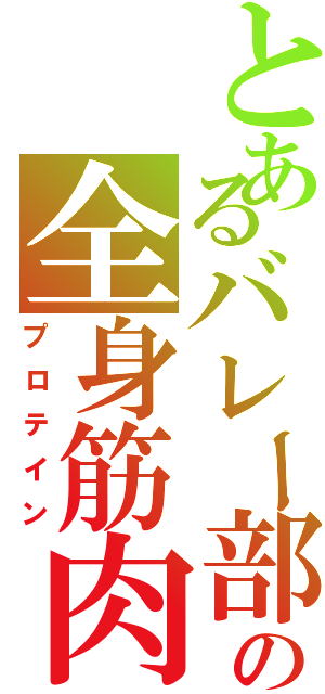 とあるバレー部の全身筋肉（プロテイン）