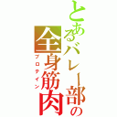 とあるバレー部の全身筋肉（プロテイン）