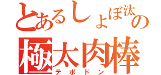 とあるしょぼ汰の極太肉棒（テポドン）