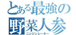 とある最強の野菜人参（ニンジンレーター）