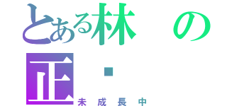 とある林の正煒（未成長中）