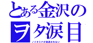 とある金沢のヲタ涙目（ノイタミナが放送されない）