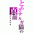 とあるナルガ猫の真顔Ⅱ（あはははは）