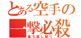 とある空手の一撃必殺（後ろ廻し蹴り）