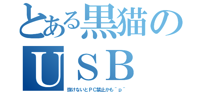 とある黒猫のＵＳＢ（抜けないとＰＣ禁止かも＾ｐ＾）