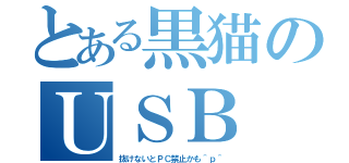 とある黒猫のＵＳＢ（抜けないとＰＣ禁止かも＾ｐ＾）