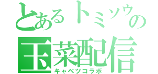 とあるトミソウの玉菜配信（キャベツコラボ）