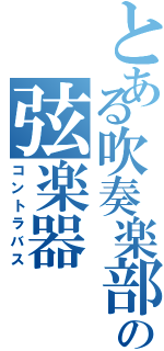 とある吹奏楽部の弦楽器（コントラバス）