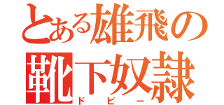 とある雄飛の靴下奴隷（ドビー）