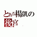 とある楊凱の後宮（萌~）