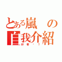 とある嵐の自我介紹（好看嗎？）