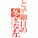 とある細目の多忙な左手（エクスカリバー）