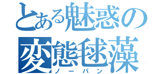 とある魅惑の変態毬藻（ノーパン）