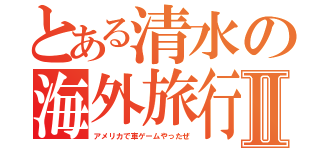 とある清水の海外旅行Ⅱ（アメリカで車ゲームやったぜ）