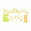 とあるお兄さんのワンパン生活Ⅱ（ワンパンマン）