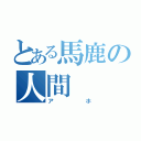 とある馬鹿の人間（アホ）