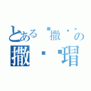 とある啊撒饿啊の撒啊杂瑁（）