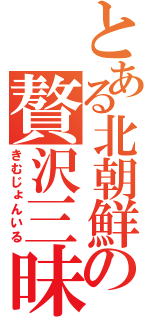 とある北朝鮮の贅沢三昧（きむじょんいる）