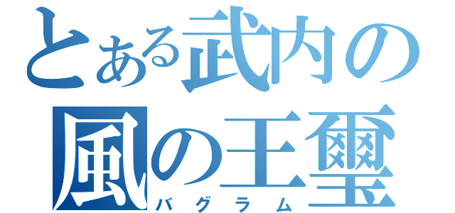 とある武内の風の王璽（バグラム）