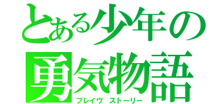 とある少年の勇気物語（ブレイヴ ストーリー）