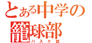 とある中学の籠球部（バスケ部）