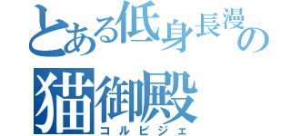 とある低身長漫才師の猫御殿（コルビジェ）