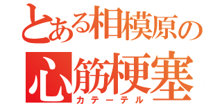 とある相模原の心筋梗塞（カテーテル）