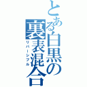 とある白黒の裏表混合（リバーシブル）