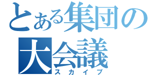 とある集団の大会議（スカイプ）