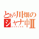 とある川畑のシャナ中毒Ⅱ（シャナックス）