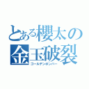 とある櫻太の金玉破裂（ゴールデンボンバー）