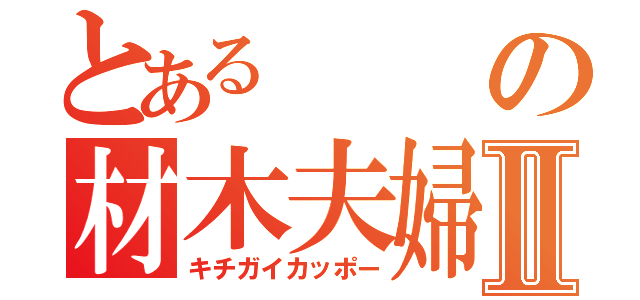 とあるの材木夫婦Ⅱ（キチガイカッポー）