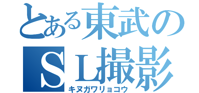 とある東武のＳＬ撮影（キヌガワリョコウ）