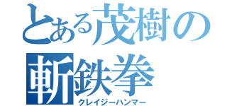 とある茂樹の斬鉄拳（クレイジーハンマー）