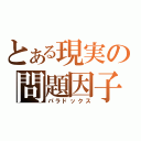 とある現実の問題因子（パラドックス）