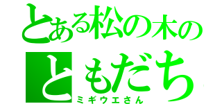 とある松の木のともだち（ミギウエさん）