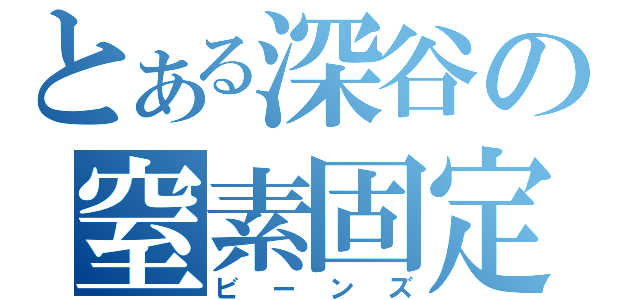 とある深谷の窒素固定（ビーンズ）